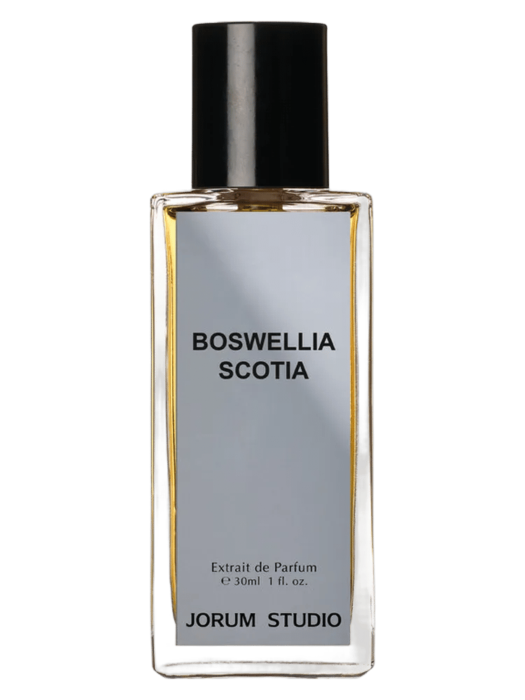 Boswellia Scotia by Jorum Studio