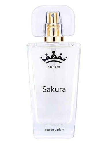 Sakura by Koshi