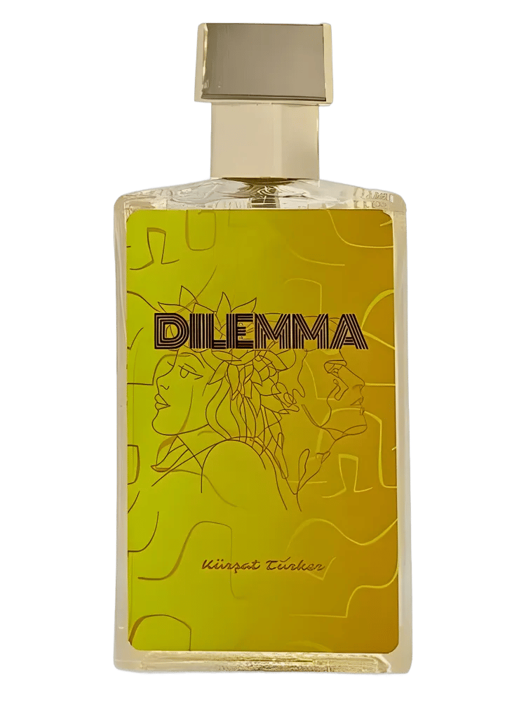 Dilemma by Kürşat Türker