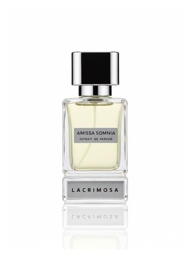 Amissa Somnia by Lacrimosa