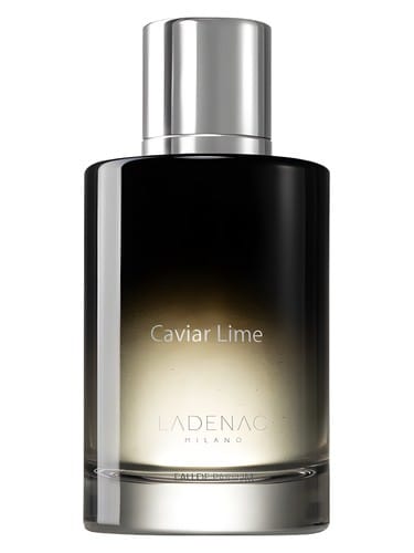 Caviar Lime by Ladenac