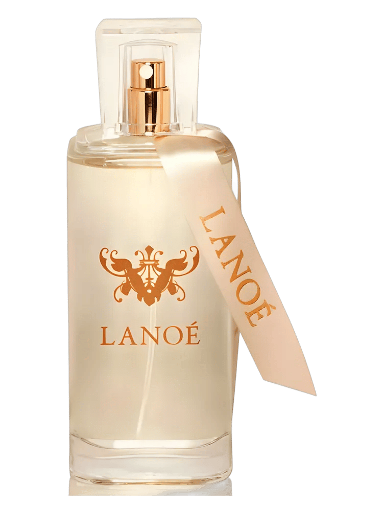 No. 6 by Lanoé