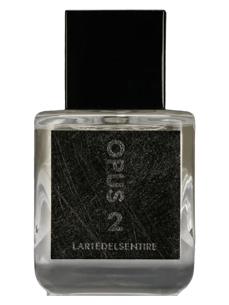 Opus 2 by Lartedelsentire