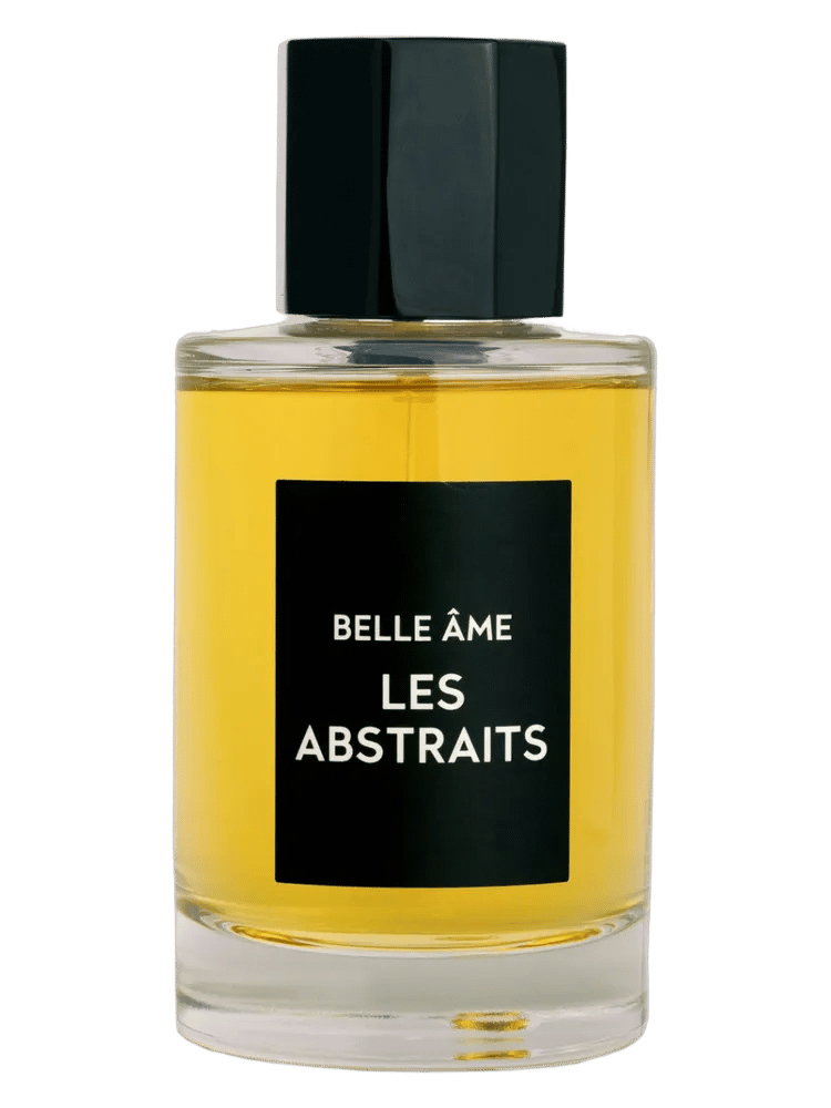 Belle Âme by Les Abstraits