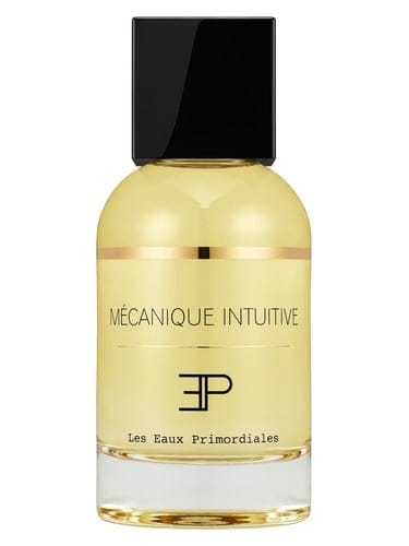 Mécanique Intuitive by Les Eaux Primordiales