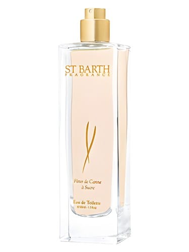 Fleur De Canne À Sucre by Ligne St Barth