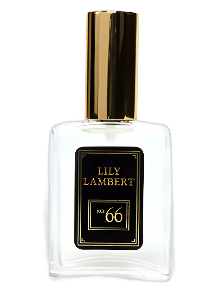 Master Number No. 66 by Lily Lambert