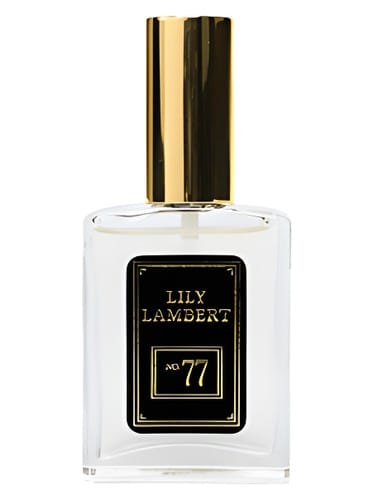 Master Number No. 77 by Lily Lambert