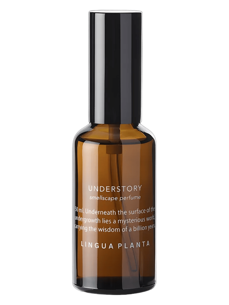 Understory by Lingua Planta