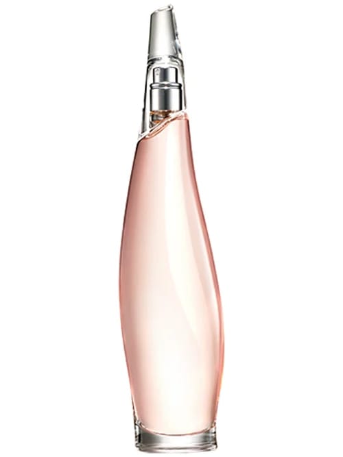 Liquid Cashmere Blush by Donna Karan Dkny