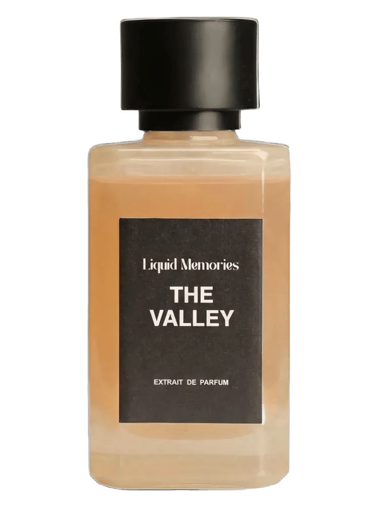 The Valley by Liquid Memories