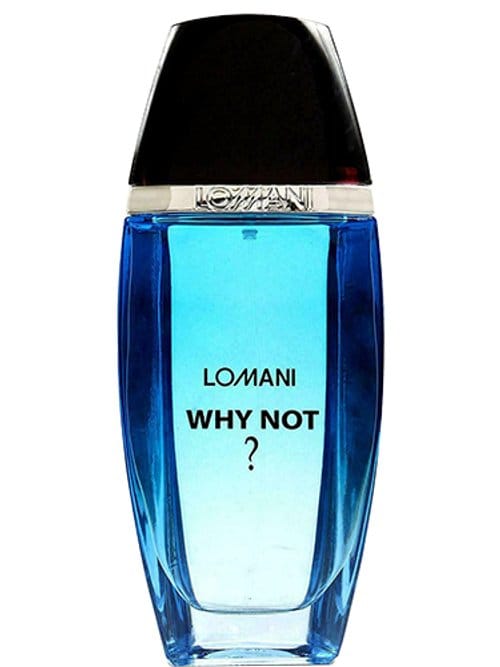 Why Not ? by Lomani
