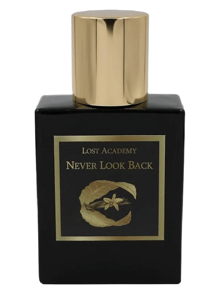 Never Look Back by Lost Academy