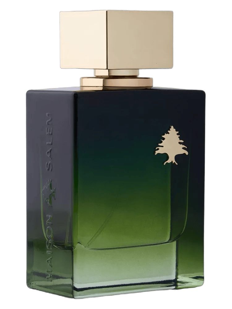 Fuad by Maison Salem