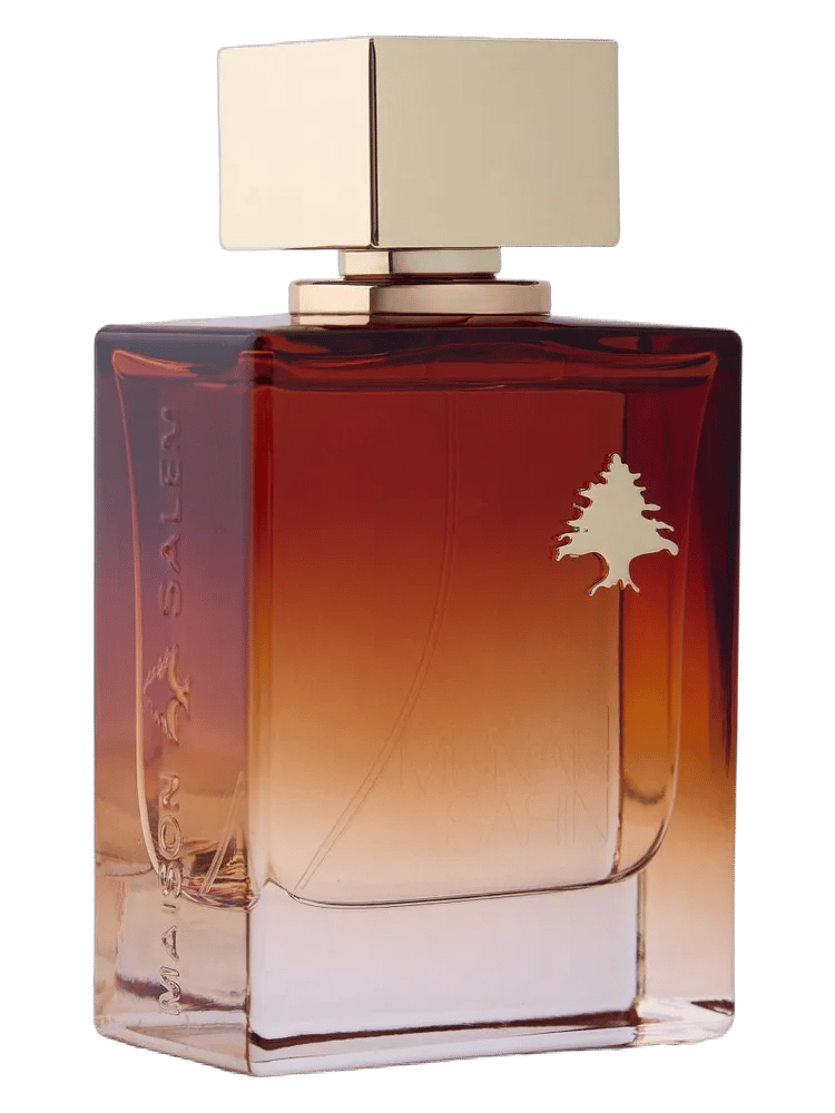Munah Sarin by Maison Salem