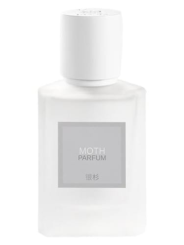 Moth 蛾 by Maison Shan 银杉