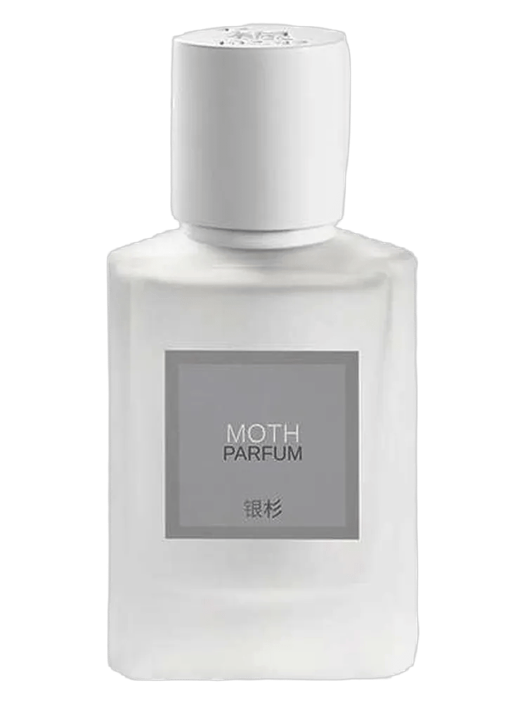 Moth 蛾 by Maison Shan 银杉