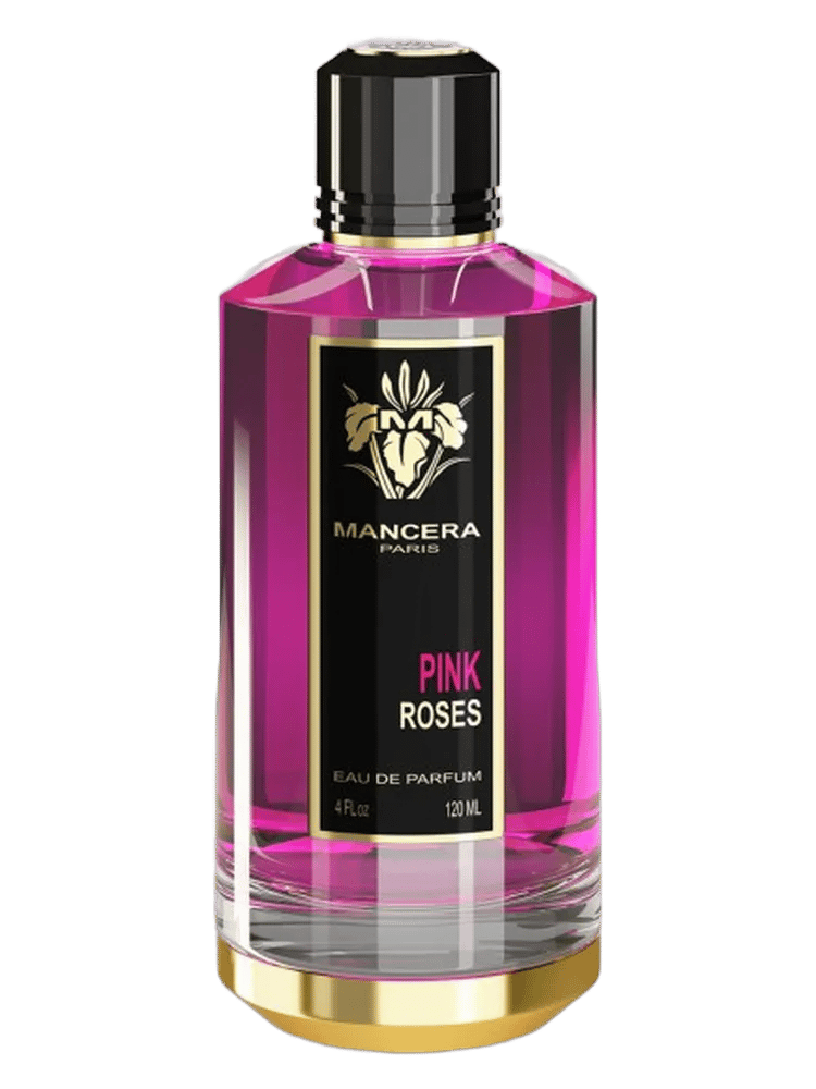 Pink Roses by Mancera