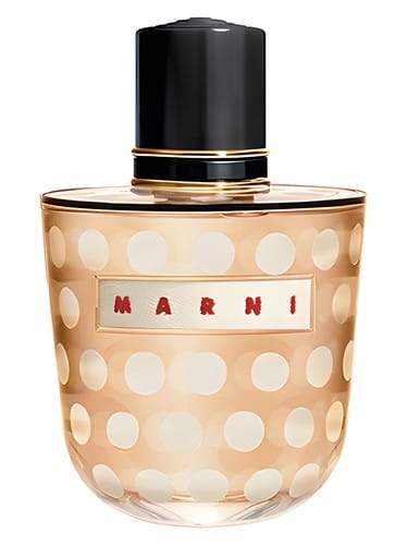 Marni Spice by Marni