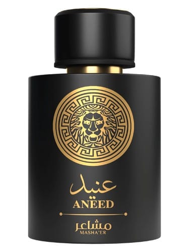 Aneed by Mashaer