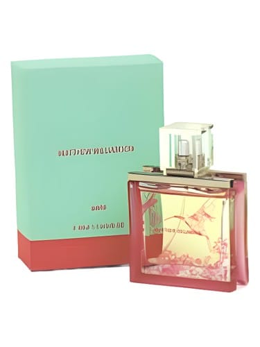 Matthew Williamson Sheer by Matthew Williamson