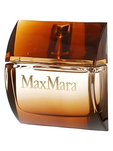 Kashmina Touch by Max Mara