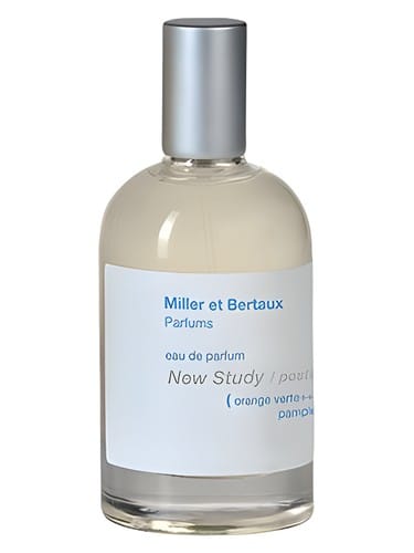 New Study / Postcard by Miller Et Bertaux