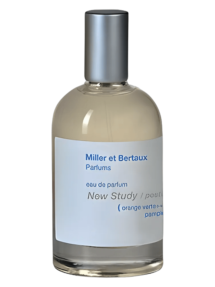 New Study / Postcard by Miller Et Bertaux