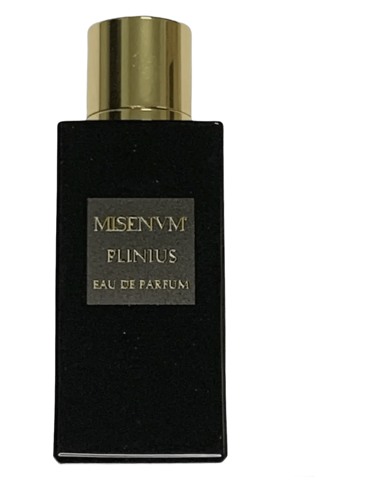 Plinius by Misenum