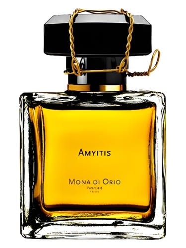 Amyitis by Mona Di Orio