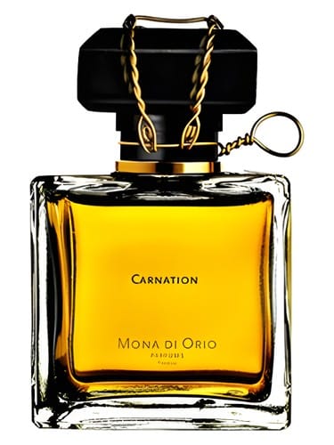Carnation by Mona Di Orio