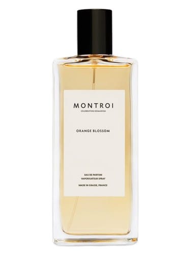 Orange Blossom by Montroi