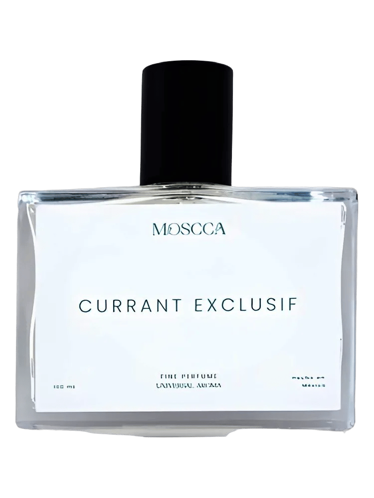 Currant Exclusif by Moscca