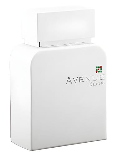 Avenue Blanc by Mpf