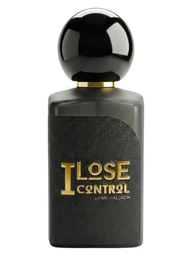 I Lose Control by Mr.Waldron