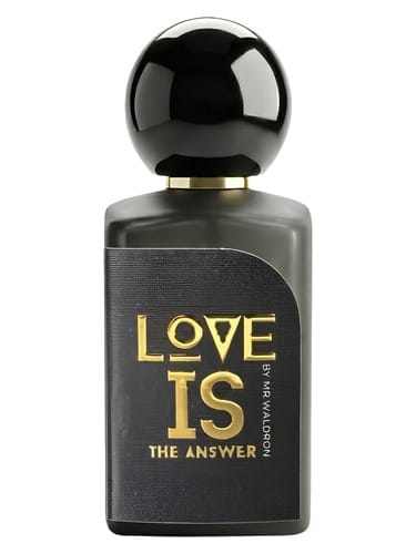 Love Is The Answer by Mr.Waldron