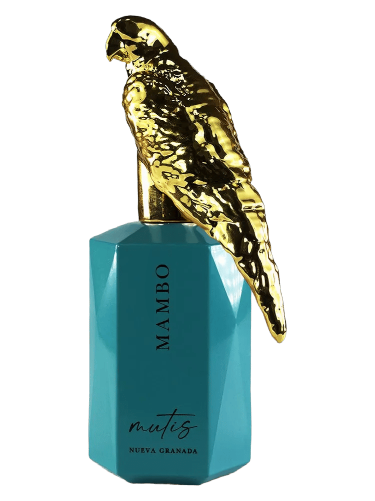 Mambo by Mutis Nueva Granada