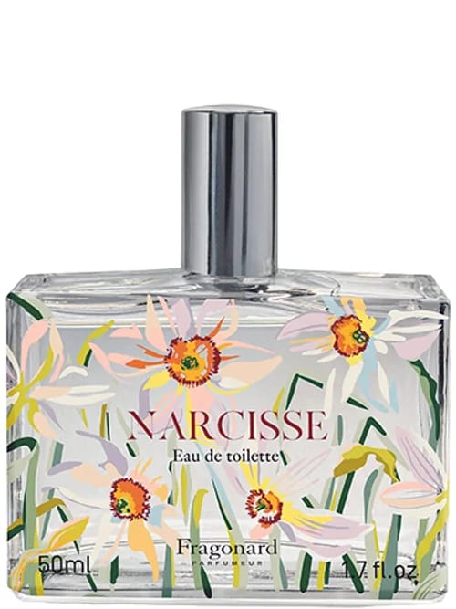 Narcisse by Fragonard