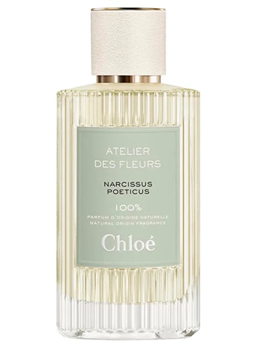 Narcissus Poeticus by Chloé