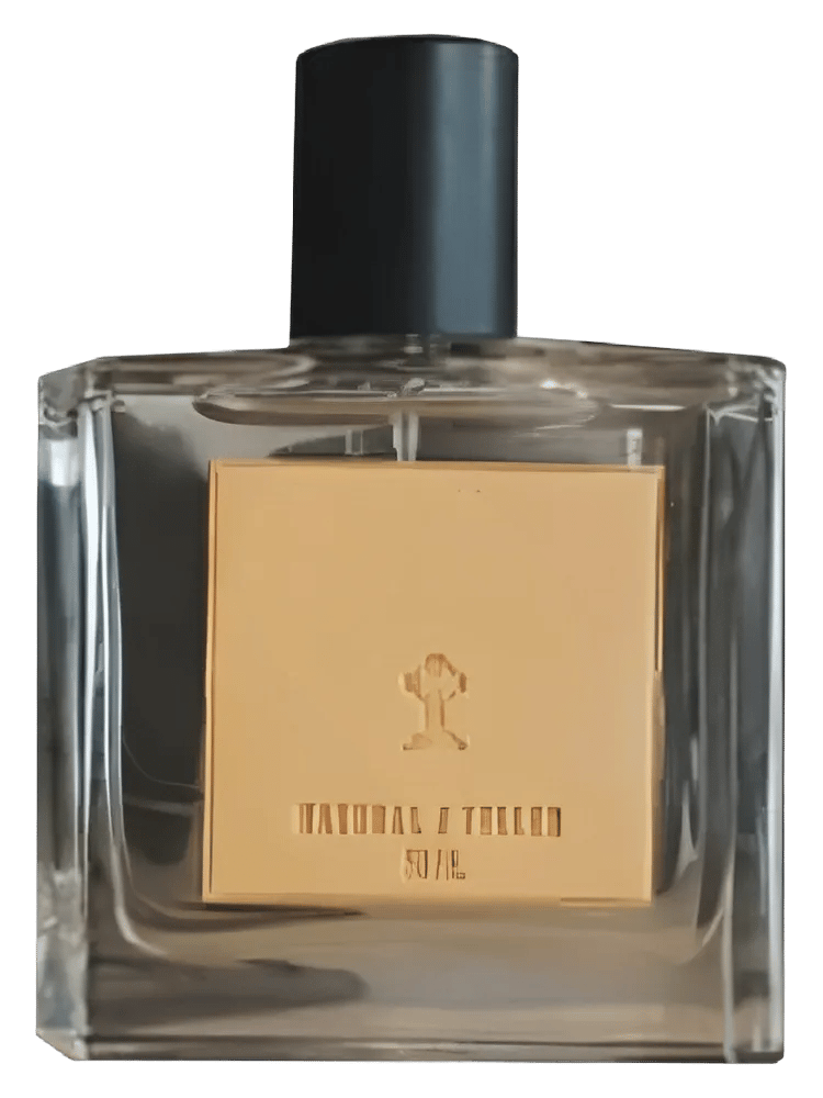 Collapse by Natural Teller