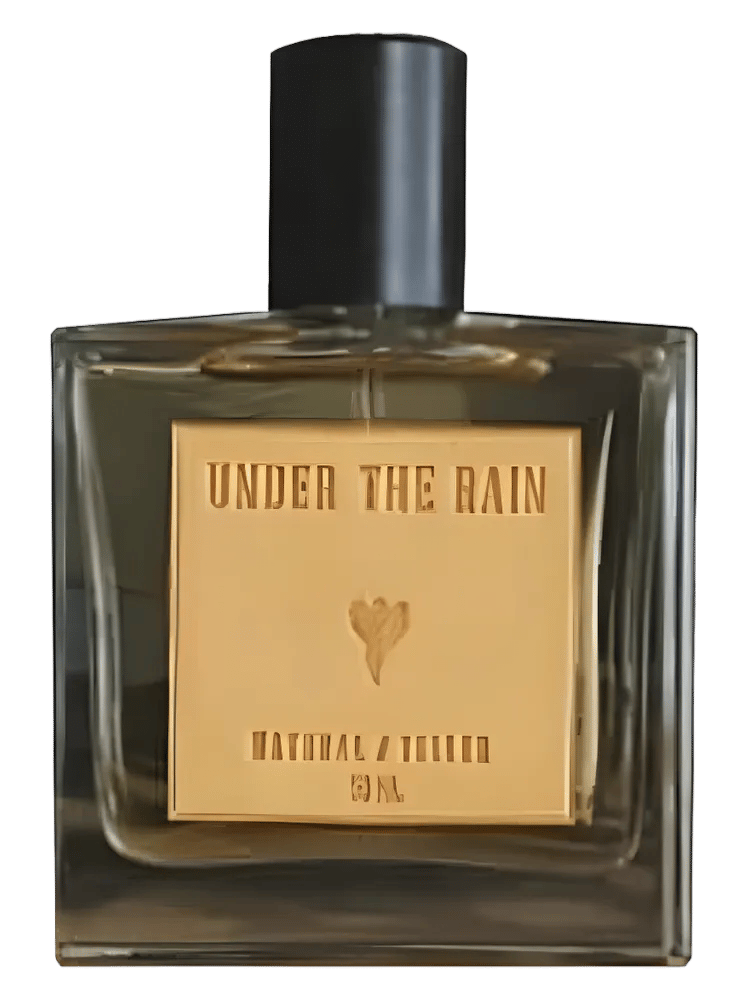 Under The Rain by Natural Teller
