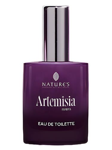 Artemisia Fiorita by Nature'S
