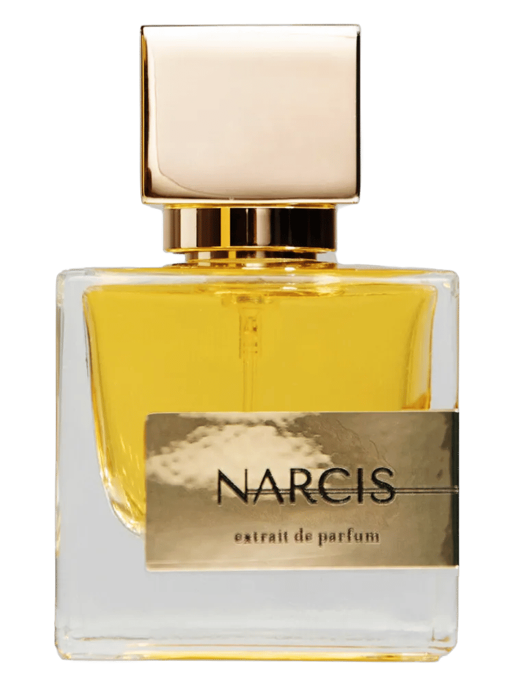 Narcis by Necalli