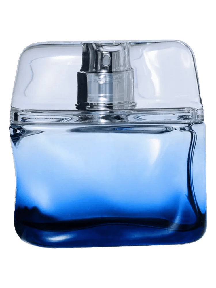 Bleu Intense by Nicole Farhi