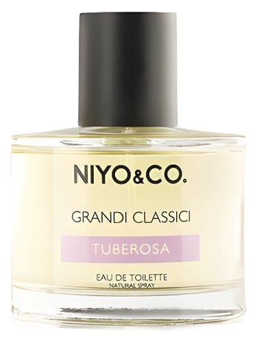 Tuberosa by Niyo & Co.