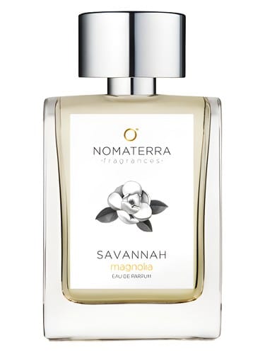 Savannah Magnolia by Nomaterra