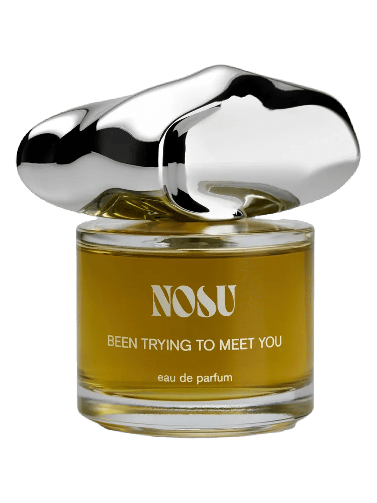 Been Trying To Meet You by Nosu