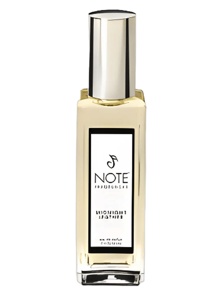 Midnight Leather by Note Fragrances