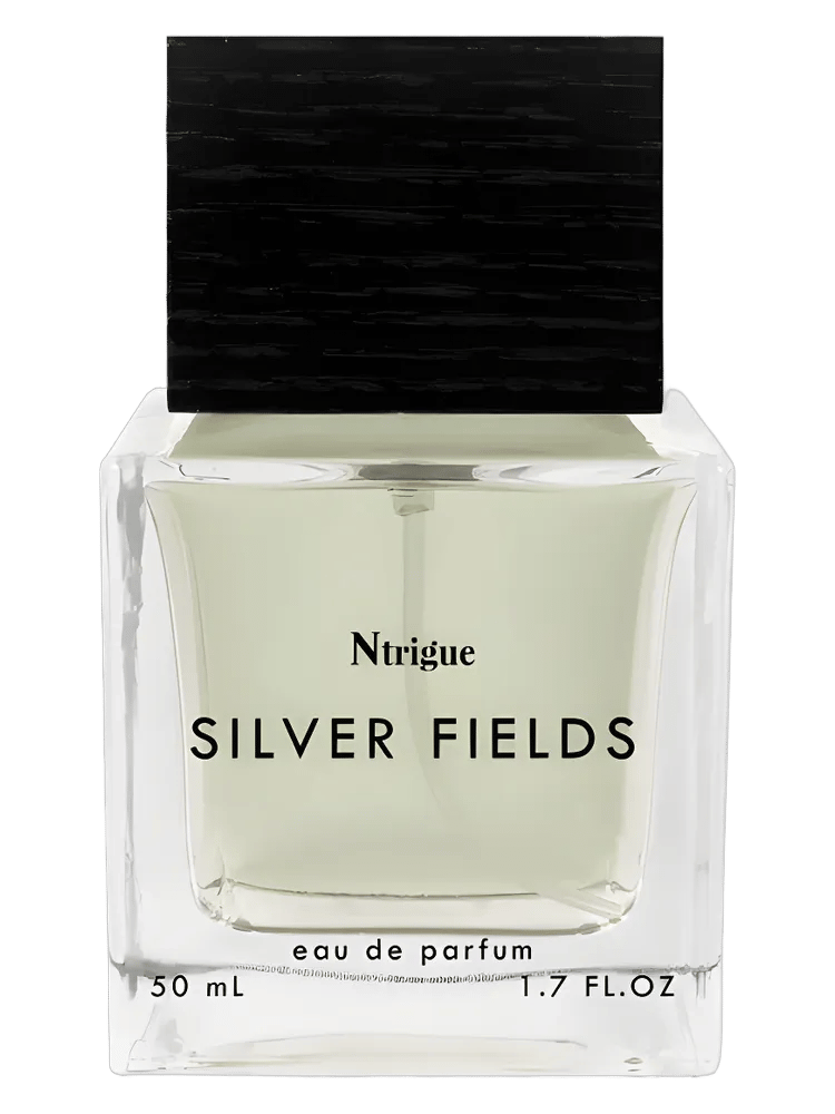 Silver Fields by Ntrigue