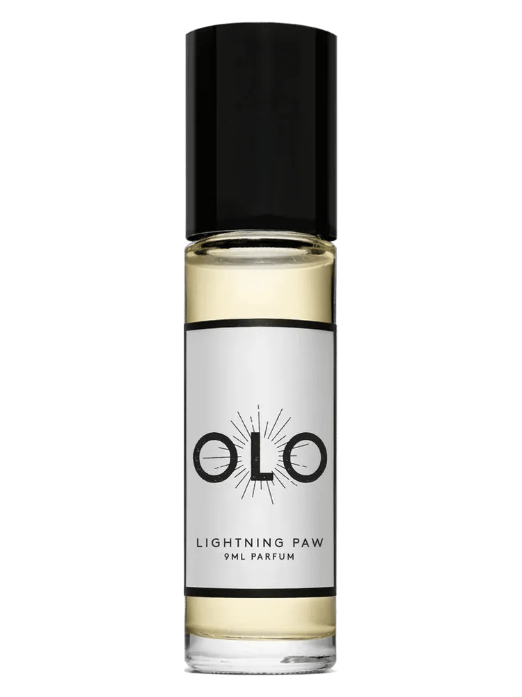 Lightning Paw by Olo